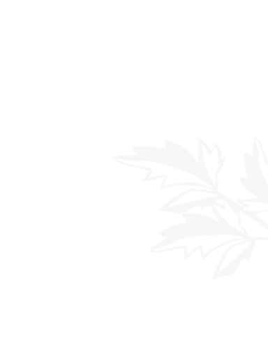 BBIN宝盈